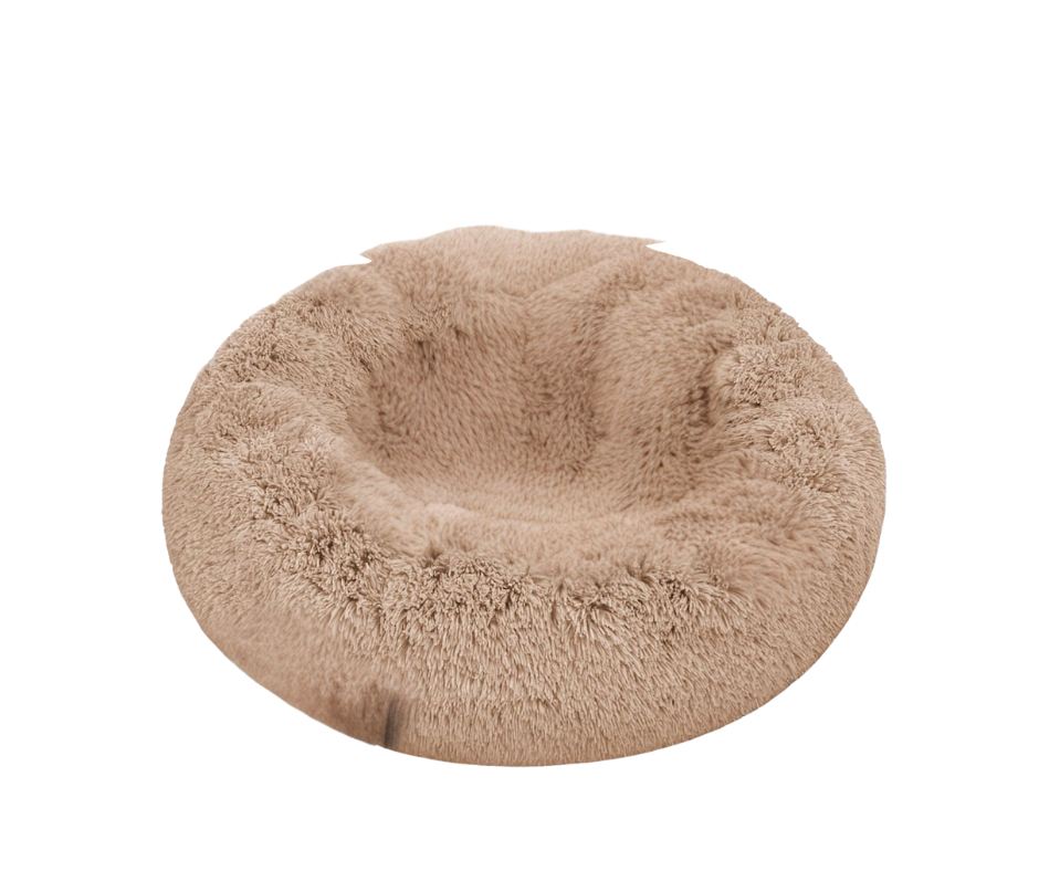 cheap dog bed ideas