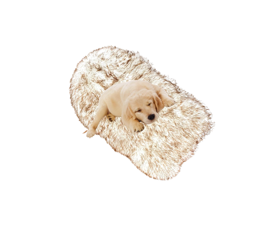 dog bed ideas under stairs
